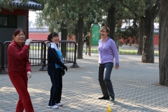 Chinese Hacky Sack - Jianzi (Chinese: 毽子), tī jianzi (踢毽子), tī jian (踢毽) or jianqiú (毽球)